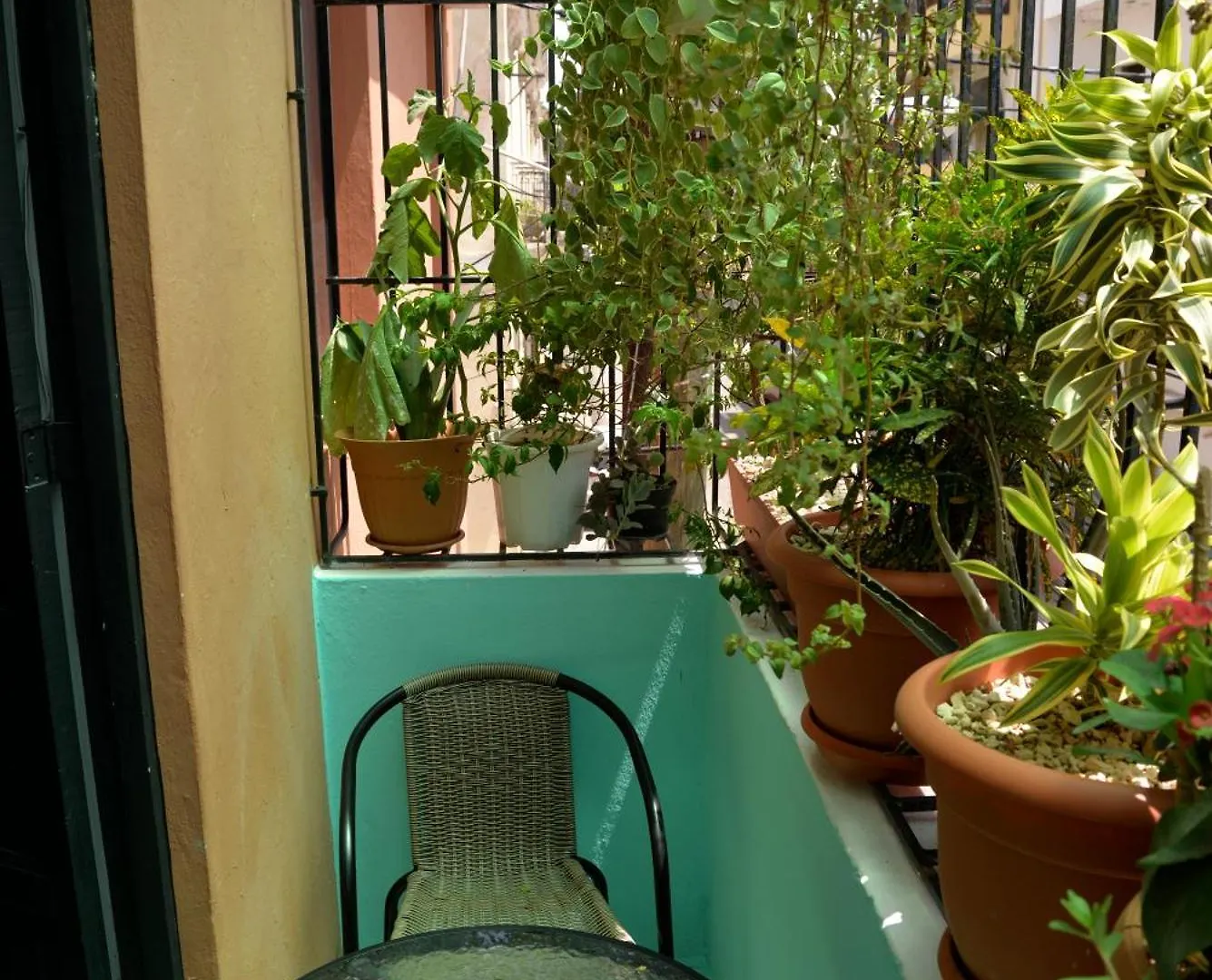 Hostal Mi Rincon Santo Domingo Repubblica Dominicana